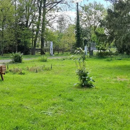 Chez Julie 3* アルナージュ